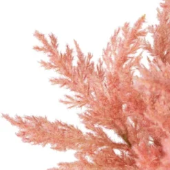 Northlight 12" Pink Cypress Artificial Plant In A Ceramic Pot -Northlight GUEST 03a672dc 583b 4dfc ae55 a7dc61a23e18