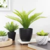Northlight 12" Potted Green Artificial Pinus Plant -Northlight GUEST 0477da02 7922 4628 b955 52b832510895