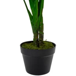 Northlight 4' Potted Two Tone Green Calathea Artificial Floor Plant 7 Northlight 4' Potted Two Tone Green Calathea Artificial Floor Plant -Northlight GUEST 05dcdb0c ef89 4f1c b14e 3bc5129a44a6