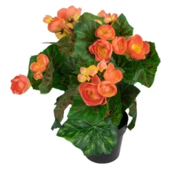 Northlight 11" Coral Pink Potted Silk Begonia Spring Artificial Floral Arrangement 7 Northlight 11" Coral Pink Potted Silk Begonia Spring Artificial Floral Arrangement -Northlight GUEST 086e71e0 6b83 425c b66c 586139e3dc61
