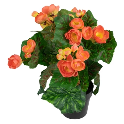 Northlight 11" Coral Pink Potted Silk Begonia Spring Artificial Floral Arrangement 4 Northlight 11" Coral Pink Potted Silk Begonia Spring Artificial Floral Arrangement - Image 2