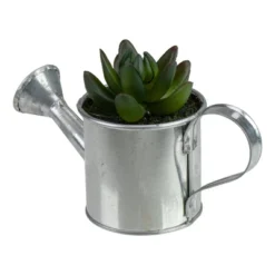 Northlight 4" X Pachyveria Succulent In Water Can Artificial Potted Plant - Green/Silver -Northlight GUEST 09bf30b5 bb1b 46f1 8a3d 5359f5d4fc86