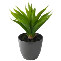 Northlight 22" Potted Green Artificial Agave Plant 9 Northlight 22" Potted Green Artificial Agave Plant -Northlight GUEST 0e5bb128 6f1c 47d6 a2c7 a0229410da89