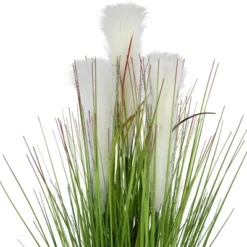 Northlight 27" Artificial Onion And Pampas Grass In Black Pot -Northlight GUEST 0ef617e5 35d7 4661 b849 bd2f9b9dd67d