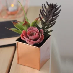 Northlight 7" Mixed Succulent Artificial Potted Arrangement - Green/Purple 6 Northlight 7" Mixed Succulent Artificial Potted Arrangement - Green/Purple -Northlight GUEST 0f19f12b f396 4092 b4c5 30e006c51efd