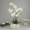 Northlight 22" Artificial White And Yellow Orchid Plant With A White Oval Pot Tabletop Decor -Northlight GUEST 120bf14b 9fc8 4131 ad33 c71d04cfb568