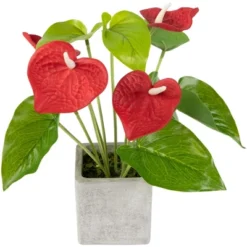 Northlight 12" Red Anthurium Spring Floral Artificial Plant In A Square Pot -Northlight GUEST 13b57755 9935 4acb 8955 7d0c52f1e9d0
