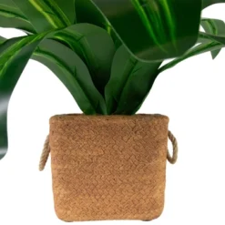 Northlight 27" Artificial Dracaena Plant In Square Rattan Pattern Ceramic Pot 8 Northlight 27" Artificial Dracaena Plant In Square Rattan Pattern Ceramic Pot -Northlight GUEST 1c7e1b17 a527 43c8 8e69 a69711bc1c02