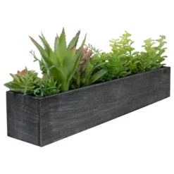 Northlight 23" Artificial Mixed Succulent Plants In A Rectangular Planter -Northlight GUEST 1ed79176 5464 4608 a061 e2f4065fbd85
