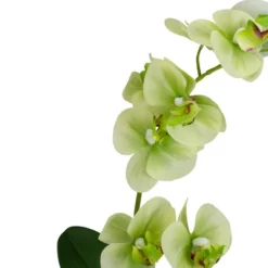 Northlight 14" Ivory, Green, And White Artificial Orchid Potted Plant Tabletop Decor -Northlight GUEST 205123bd 5059 4a03 beaa eb6f8a67b558