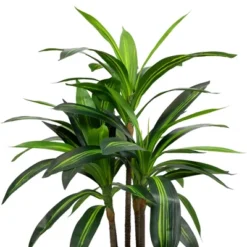 Northlight 36" Two-Tone Green Dracaena Artificial Potted Plant 11 Northlight 36" Two-Tone Green Dracaena Artificial Potted Plant -Northlight GUEST 220a9815 0d4c 49b7 aa91 28b1e87e463d