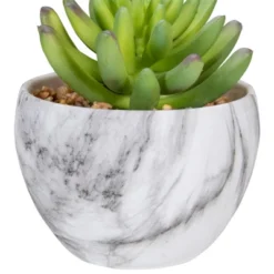 Northlight 4.25" Green Artificial Succulent In Faux Marble Pot -Northlight GUEST 23dfdc42 f1ba 4bc9 a101 d8838a270288
