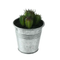 Northlight 4" Echeveria Succulent In Watering Can Artificial Potted Plant - Green/Silver 7 Northlight 4" Echeveria Succulent In Watering Can Artificial Potted Plant - Green/Silver -Northlight GUEST 24b90912 609c 4c3c b1a1 04ffc8e7b6e5
