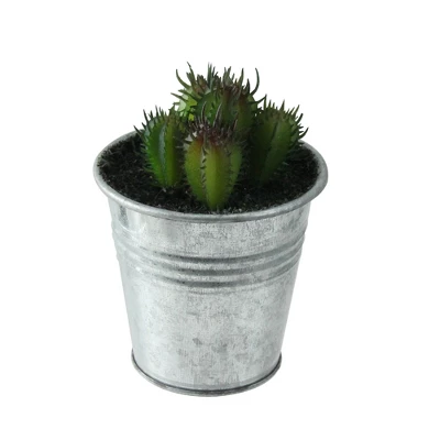 Northlight 4" Echeveria Succulent In Watering Can Artificial Potted Plant - Green/Silver 5 Northlight 4" Echeveria Succulent In Watering Can Artificial Potted Plant - Green/Silver - Image 3