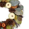 Northlight Pumpkin, Pinecone, And Gourd Artificial Fall Harvest Wreath, 24-Inch, Unlit -Northlight GUEST 2608b875 43b0 41fc 8ff5 27273230fc1b