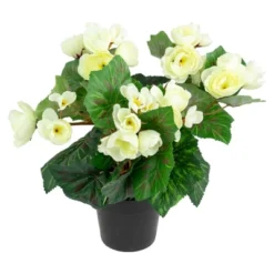 Northlight 11" Cream Potted Silk Begonia Spring Artificial Floral Arrangement -Northlight GUEST 28f61d58 b2ef 49f2 803a 110854b1551b