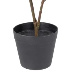 Northlight 26" Dark Green Artificial Potted Fiddle-Leaf Fig Plant -Northlight GUEST 29d5a747 a031 4651 8e67 5ce3cad6096b