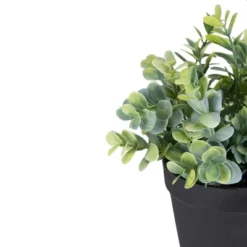 Northlight 10" Green Artificial Melia Azedarach Plant In Black Pot -Northlight GUEST 2af5ee98 f287 4cb9 a27e d2a616a5cd68
