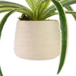Northlight 20" Artificial Dracaena Plant In Beige Ceramic Pot -Northlight GUEST 2dbdd725 6fbd 4a29 992f 8a1d1d0a9157