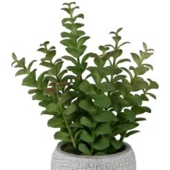 Northlight 12" Artificial Privet Plant In Gray Stone Pot -Northlight GUEST 2dde7700 4569 4491 9317 6fe47d06a35f