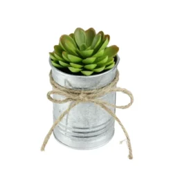 Northlight 7" Sprouting Rose Succulent Artificial Potted Plant - Green/Silver -Northlight GUEST 3068cf94 62cf 41db a7a1 84d75342c406