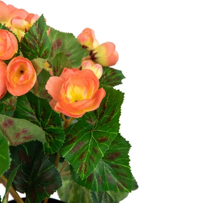 Northlight 11" Coral Pink Potted Silk Begonia Spring Artificial Floral Arrangement 5 Northlight 11" Coral Pink Potted Silk Begonia Spring Artificial Floral Arrangement - Image 3
