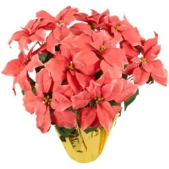 Northlight 20" Dark Pink Artificial Christmas Poinsettia With Gold Wrapped Base 9 Northlight 20" Dark Pink Artificial Christmas Poinsettia With Gold Wrapped Base -Northlight GUEST 342355b9 6f8c 43a3 9692 e41fe2676709