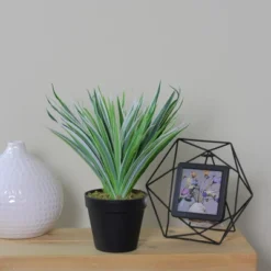 Northlight 13" Two-Tone Grass Artificial Potted Plant - Green/White -Northlight GUEST 3659edfc b086 42c0 b6fb 68061a1c4c02