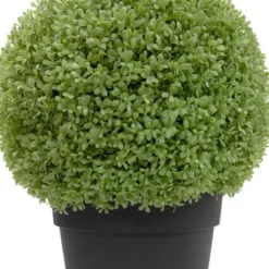 Northlight 22" Artificial Boxwood Ball Topiary In Round Pot, Unlit -Northlight GUEST 367a9006 0a07 4ebd a2fe 3e22c2f8f783