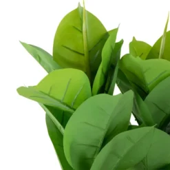 Northlight 51" Artificial Green And Brown Potted Rubber Plant -Northlight GUEST 394488e7 523f 4170 88ce fb6746b4bb02