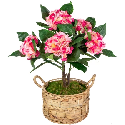Northlight 25.75" Hydrangea Flower Artificial Potted Plant - Pink/Green 4 Northlight 25.75" Hydrangea Flower Artificial Potted Plant - Pink/Green - Image 2