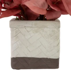 Northlight Real Touch™ Brick Red Artificial Peperomia Plant In Square Lattice Designed Pot - 7 " -Northlight GUEST 41b1fdc8 0673 475a 94ee 87d1199be7a1