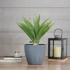 Northlight 22" Potted Green Artificial Agave Plant -Northlight GUEST 4580f73f 99f9 440f ab49 834bf96345fc