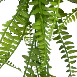 Northlight 18" Artificial Fern Plant With Moss Ball And Hanging Jute Cord -Northlight GUEST 468a4889 20f3 4f51 87de a36c52f71fe3