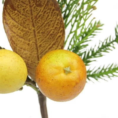 Northlight 19" Autumn Harvest Asheville Fruit Pine And Lemon Artificial Thanksgiving Spray 3 Northlight 19" Autumn Harvest Asheville Fruit Pine And Lemon Artificial Thanksgiving Spray