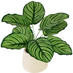 Northlight 13" Artificial Arrowroot Plant In Beige Ceramic Pot -Northlight GUEST 473dae86 5300 4d2f 9768 35640d716124