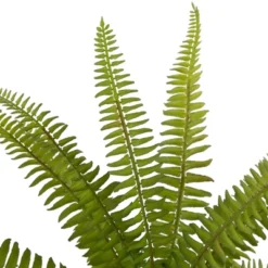 Northlight 12" Artificial Boston Fern Plant In Aztec Pattern Ceramic Pot -Northlight GUEST 482b4373 8da2 4742 925a ad6bb6c72c1d