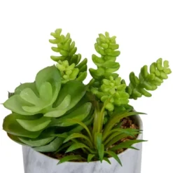 Northlight 6.5" Green Artificial Succulent Arrangement In Faux Marble Pot 9 Northlight 6.5" Green Artificial Succulent Arrangement In Faux Marble Pot -Northlight GUEST 489e735f 017d 4192 b021 3c87507944ae
