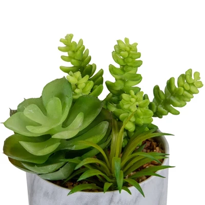 Northlight 6.5" Green Artificial Succulent Arrangement In Faux Marble Pot 6 Northlight 6.5" Green Artificial Succulent Arrangement In Faux Marble Pot - Image 4
