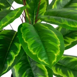 Northlight 30" Two-Tone Green Calathea Artificial Potted Plant 9 Northlight 30" Two-Tone Green Calathea Artificial Potted Plant -Northlight GUEST 4c7f3e0e e9a1 4a5a a17e d7d81a27eb2d