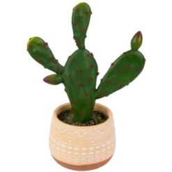 Northlight Real Touch™ Artificial Green And Red Potted Floral Cactus 9.5" -Northlight GUEST 51421558 bbe0 49a7 af59 0ed9798bf235