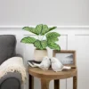 Northlight 13" Artificial Arrowroot Plant In Beige Ceramic Pot -Northlight GUEST 51c46d2b 14f6 40ea bfb0 751d94246799