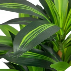 Northlight 36" Two-Tone Green Dracaena Artificial Potted Plant 12 Northlight 36" Two-Tone Green Dracaena Artificial Potted Plant -Northlight GUEST 54c47f22 1dce 442b bcea 585f16d29107