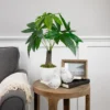 Northlight 18.5" Artificial Guiana Chestnut Plant In White Pot -Northlight GUEST 54cf12fc 81a5 4822 880c 18d23bd3617e