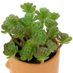 Northlight 5.5" Mini Artificial Succulent In Face Planter Pot 11 Northlight 5.5" Mini Artificial Succulent In Face Planter Pot -Northlight GUEST 55a0520b 8ac1 4bbc 9eb9 fa86aa194d20