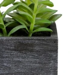 Northlight 23" Artificial Mixed Succulent Plants In A Rectangular Planter -Northlight GUEST 56524abe c9b9 4043 a816 86adb8d65395