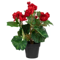 Northlight 11" Red Potted Silk Begonia Spring Artificial Floral Arrangement -Northlight GUEST 5945f3b0 48d5 48a0 94bd fbf482ecb1e3