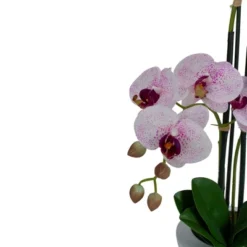Northlight 21" Pink And White Artificial Orchid Plant In A White Pot -Northlight GUEST 5b9e67f6 80e1 4e1d abf2 c60d1a391750