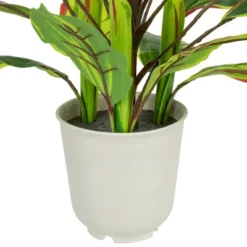 Northlight 25" Dracaena Artificial Potted Plant - Green/White -Northlight GUEST 5cf2fd2c 11ba 457c b1fa e2f778c17b32