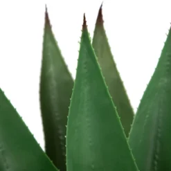 Northlight 26" Green Agave Americana Succulent Artificial Potted Plant 11 Northlight 26" Green Agave Americana Succulent Artificial Potted Plant -Northlight GUEST 5cf7d914 f2b5 4535 a21d c9365fa74e53